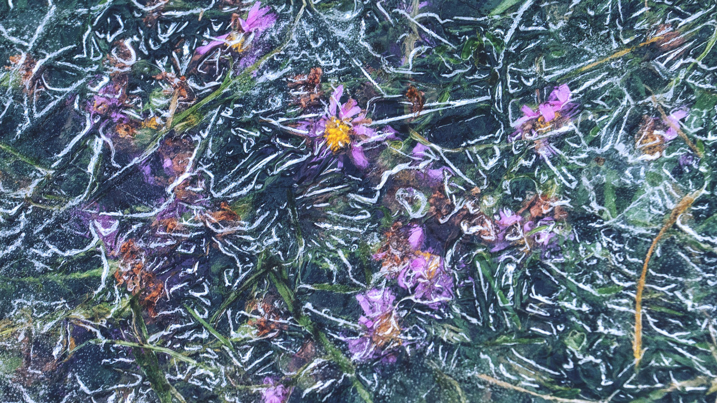 Жизнь вокруг