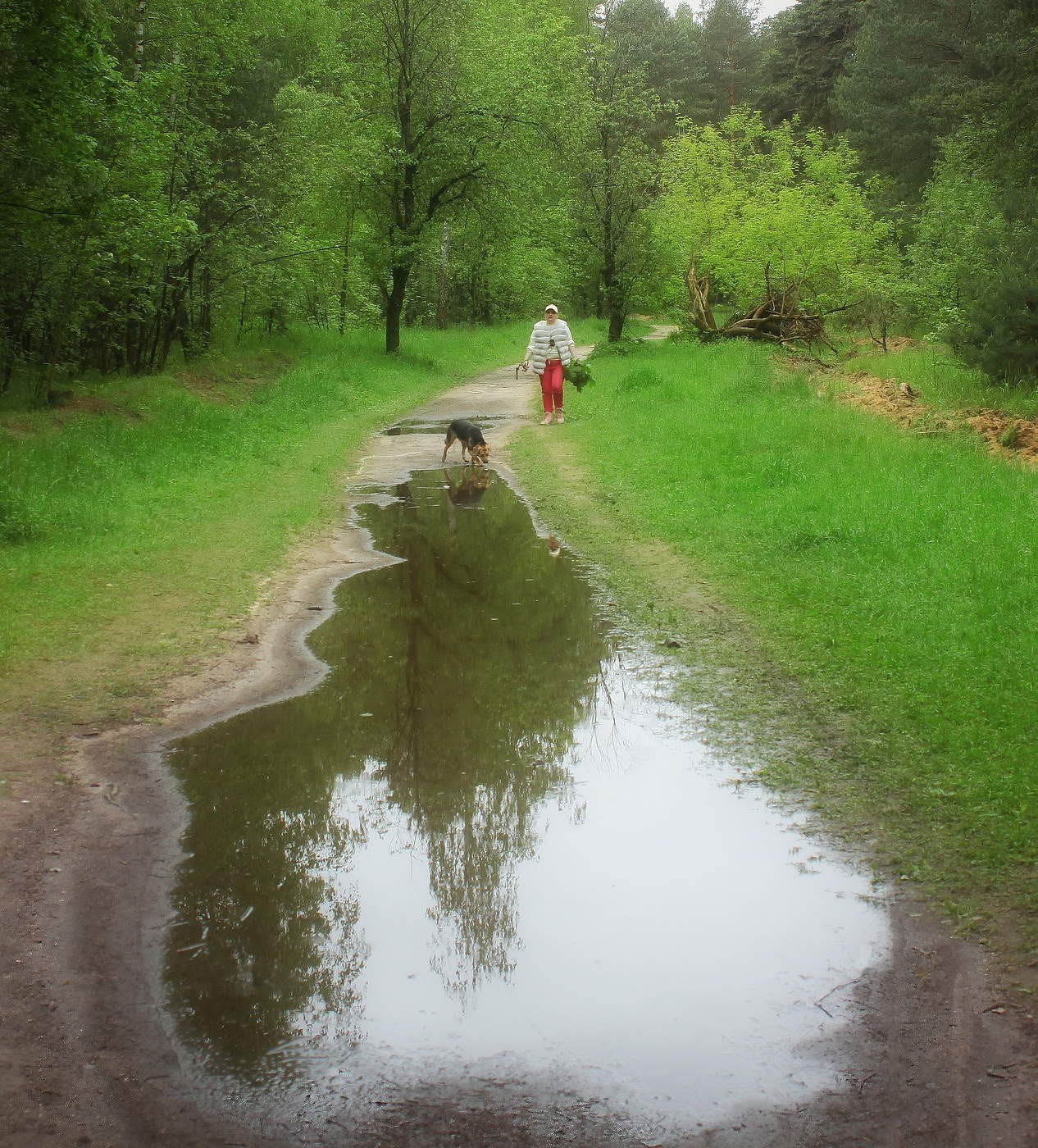 Луж большой