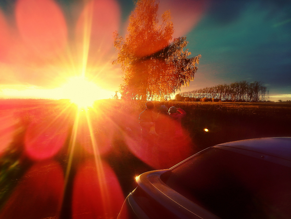 Лети лети лепесток