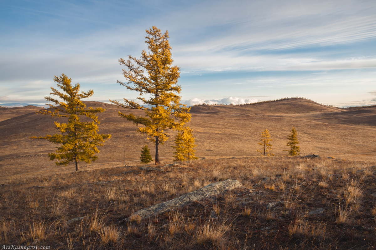 "Осенняя степь"