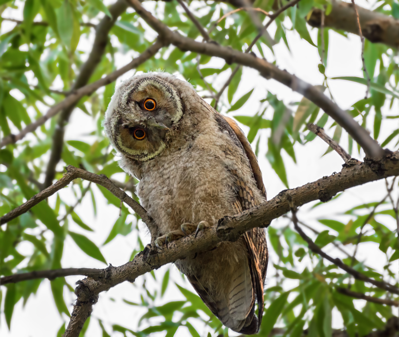 свой ракурс..