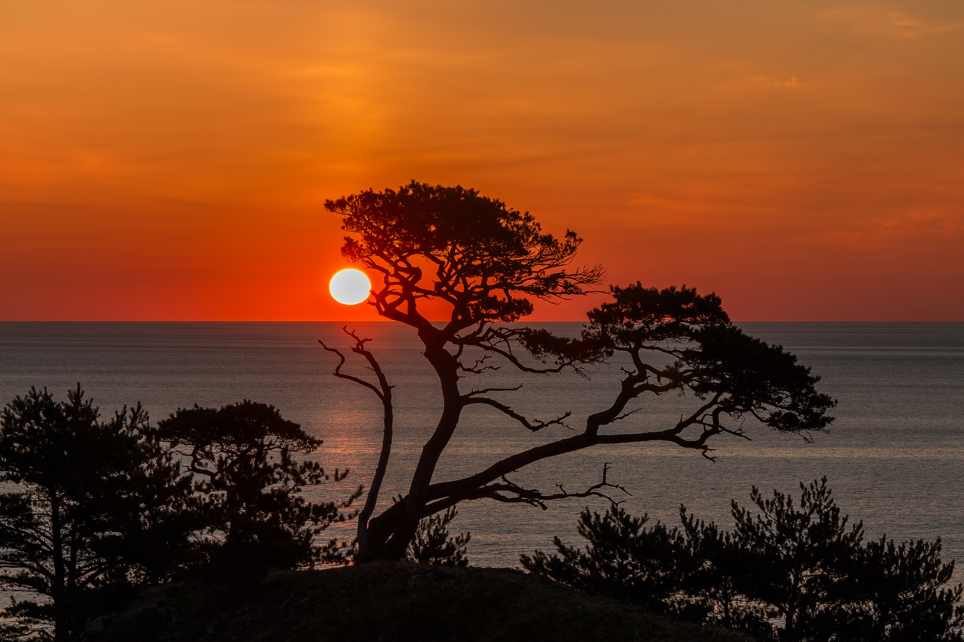 ВОСХОД В ЯПОНСКОМ МОРЕ