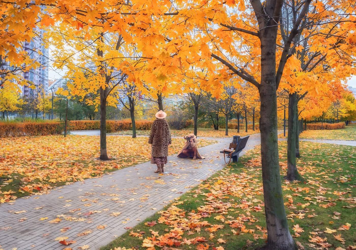 Сезон "Осень-Весна"