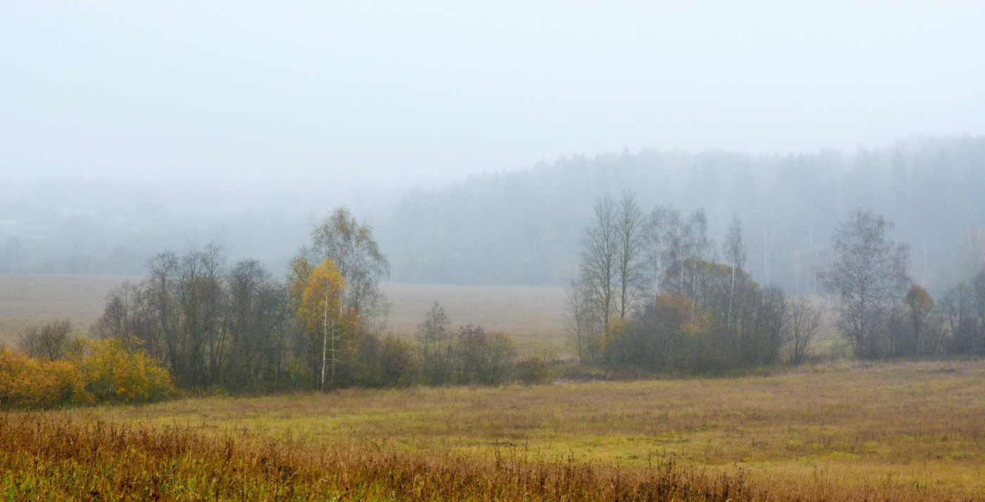 "Туман осенний струится грустно над серой далью нагих полей..."