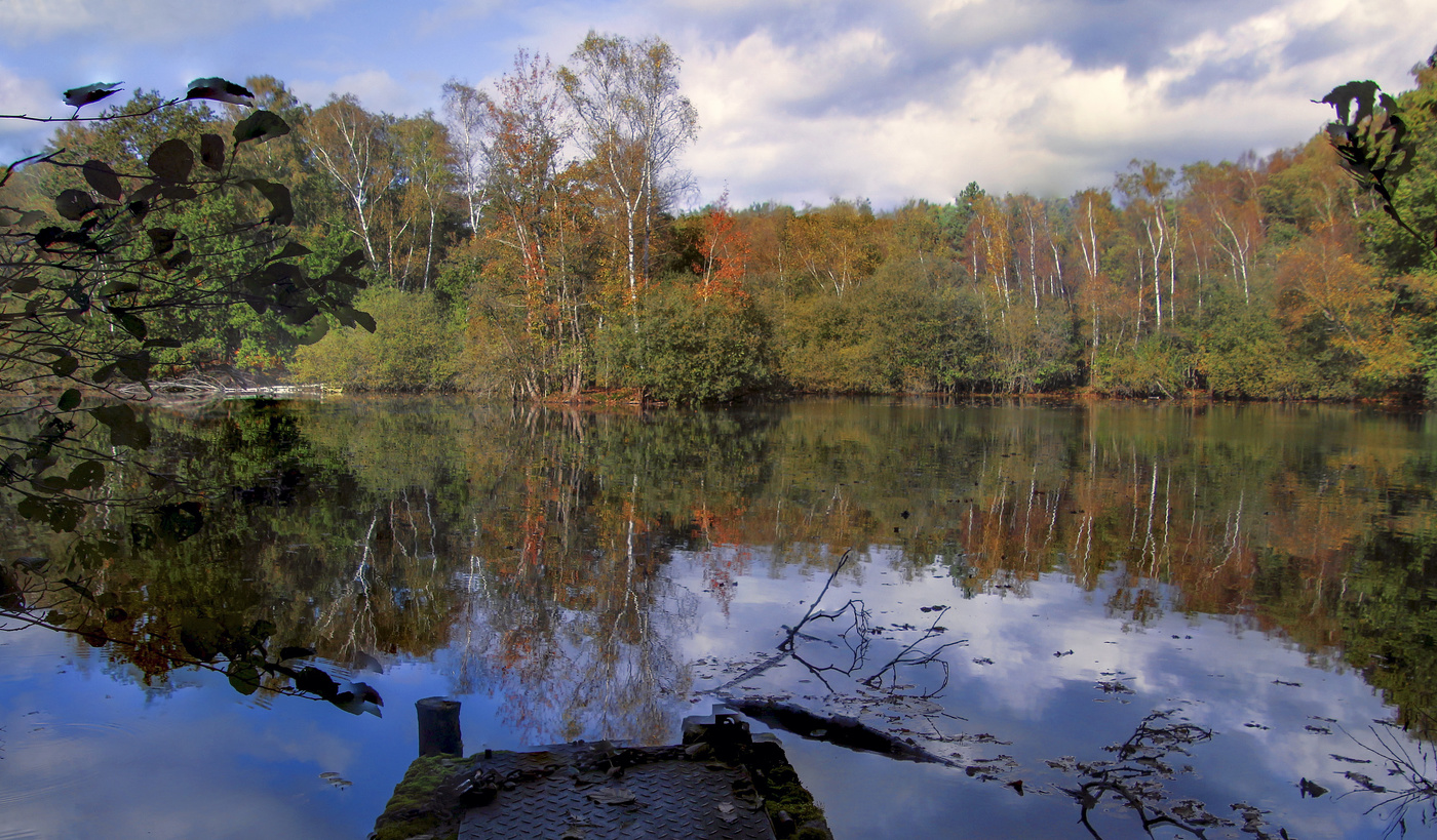 Лесное озеро