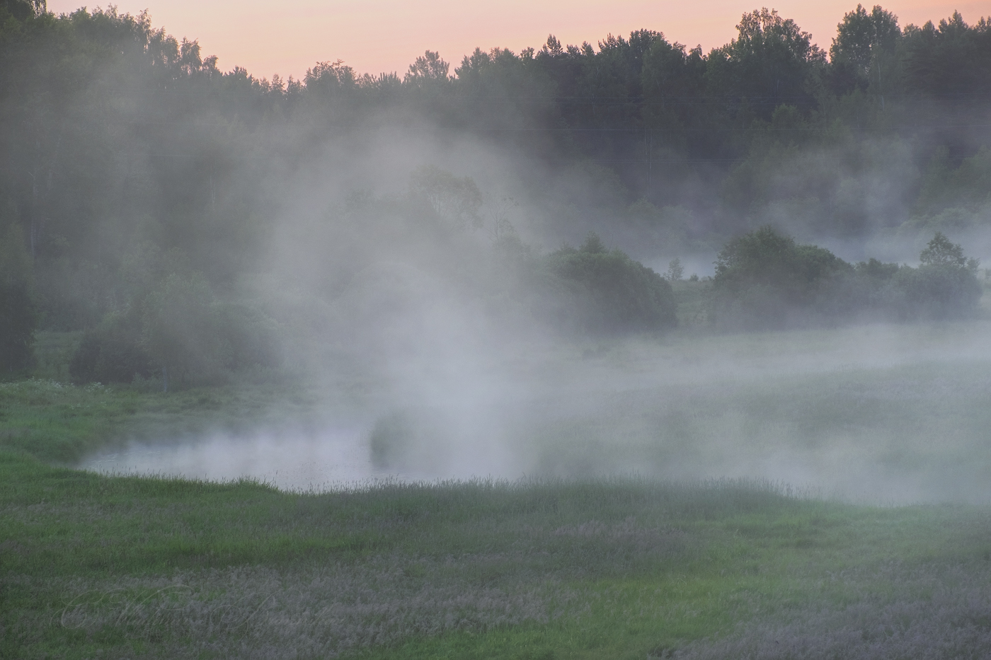 Извилистая река