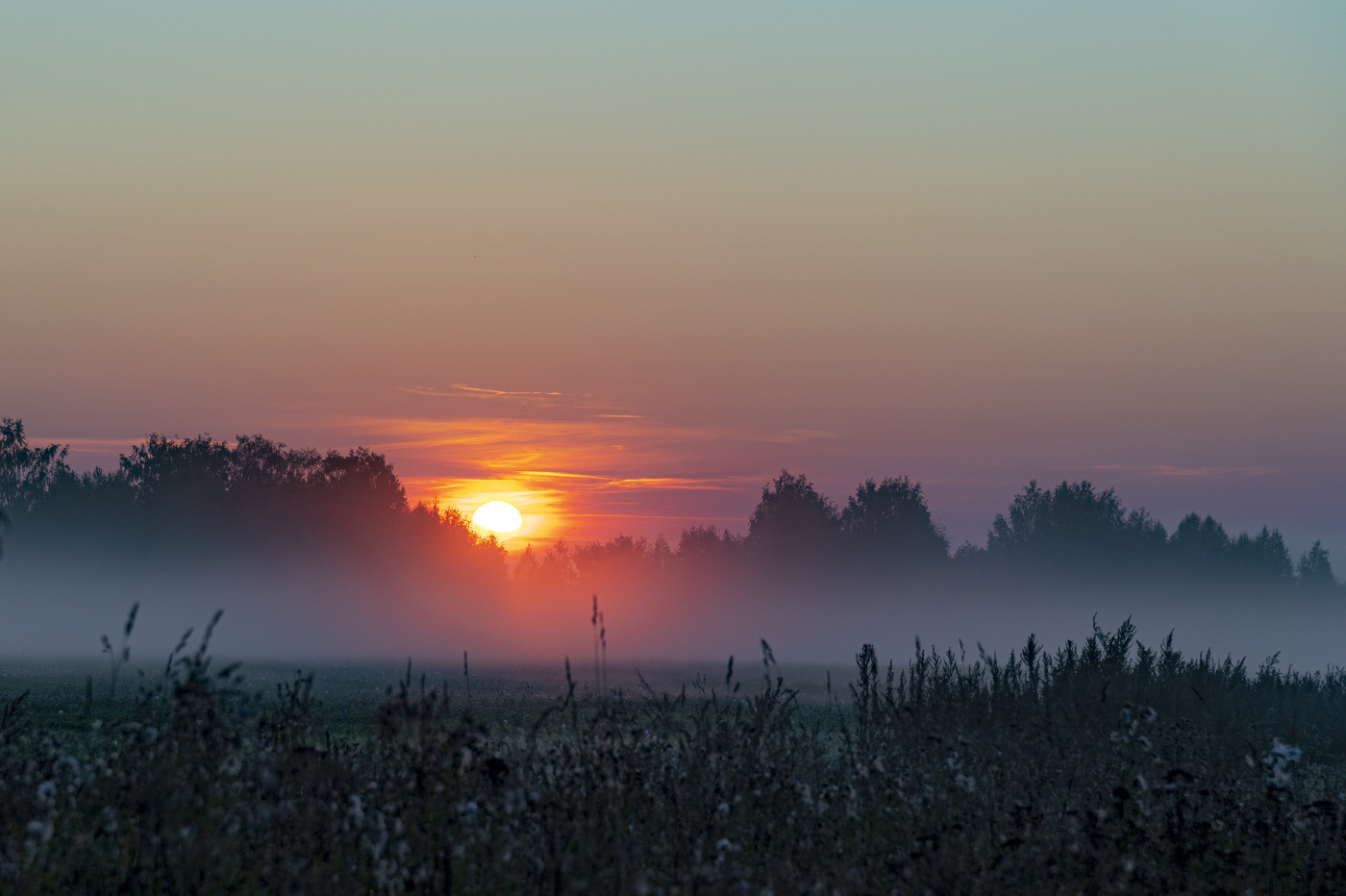 Прохладное утро