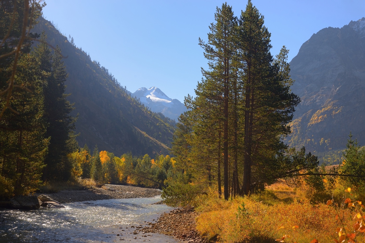 Осеннее утро