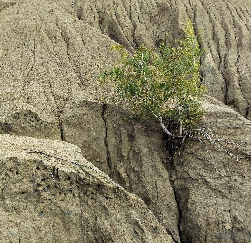 Жизненные обстоятельства...