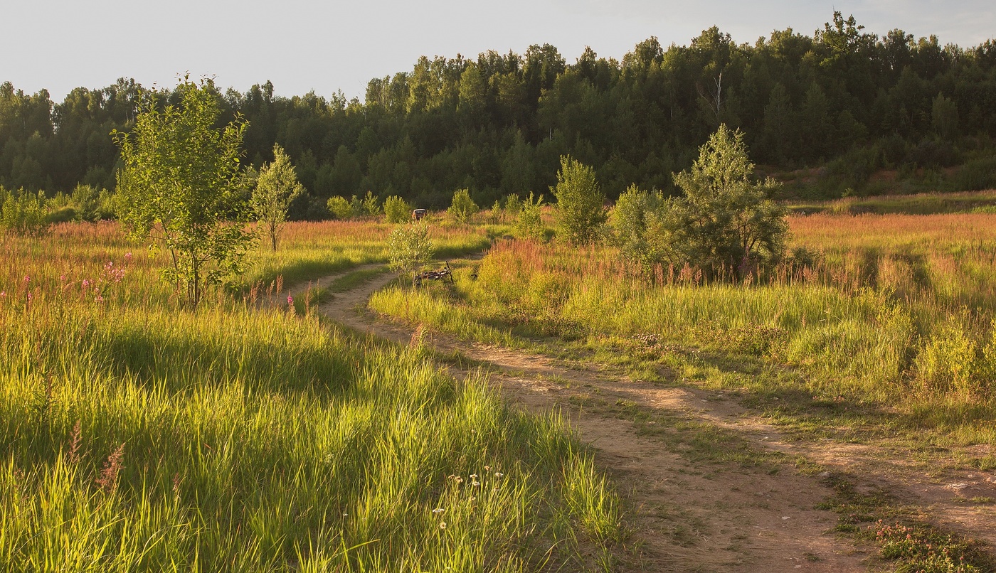 По вечерней грунтовке