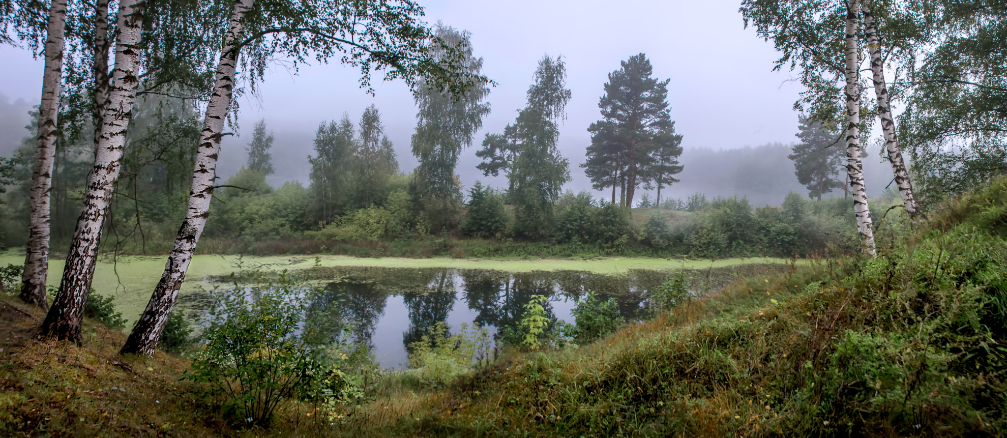 Прошедшее лето.