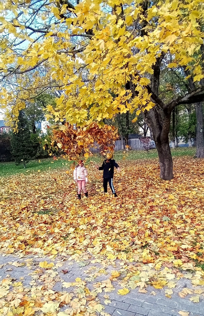 осенняя радость