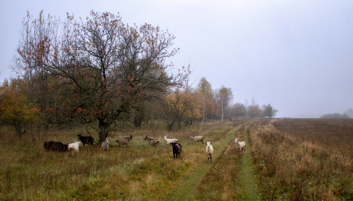 Замкадье дальнее