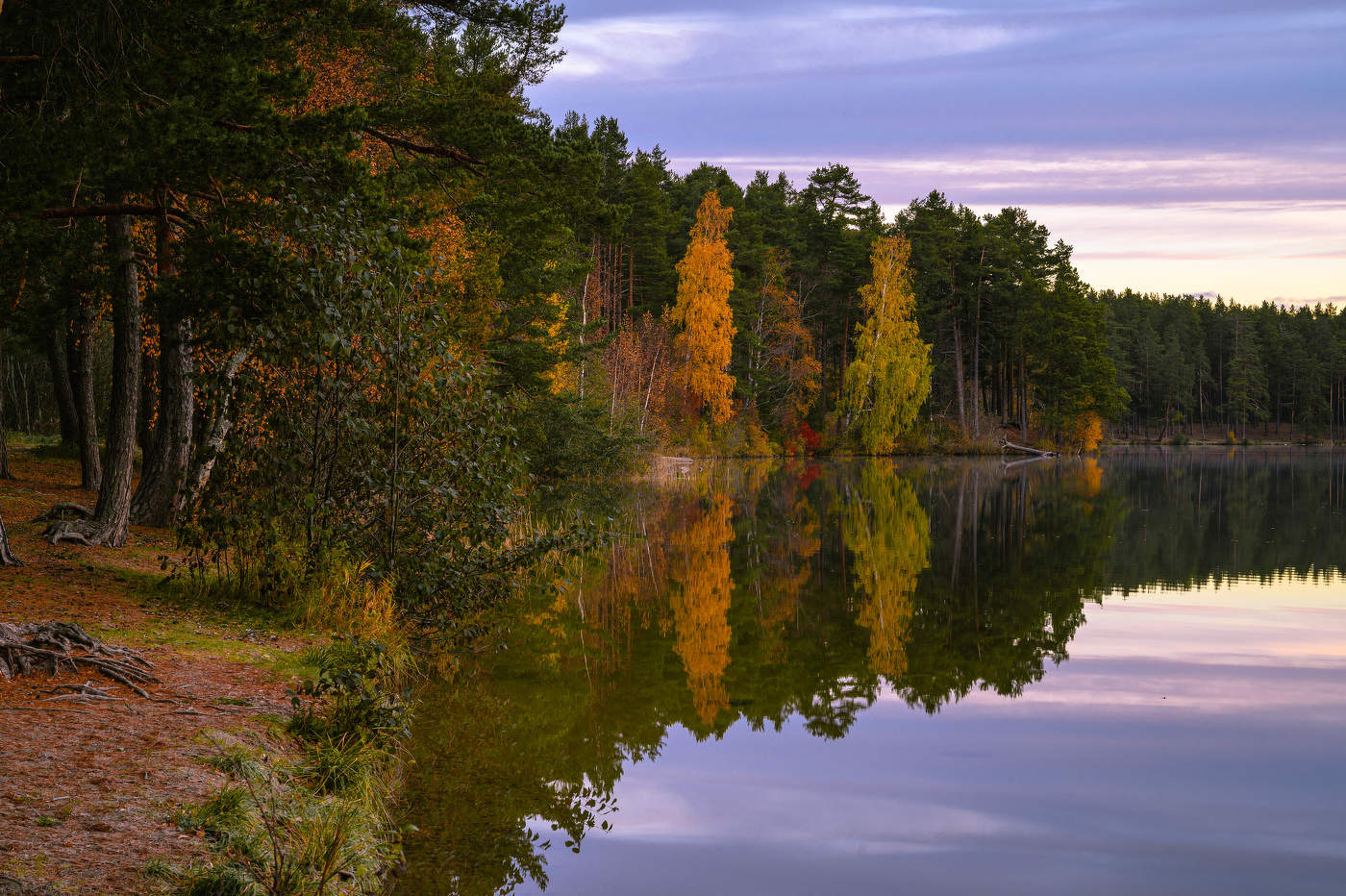 Октябрьским утром на Круглом.