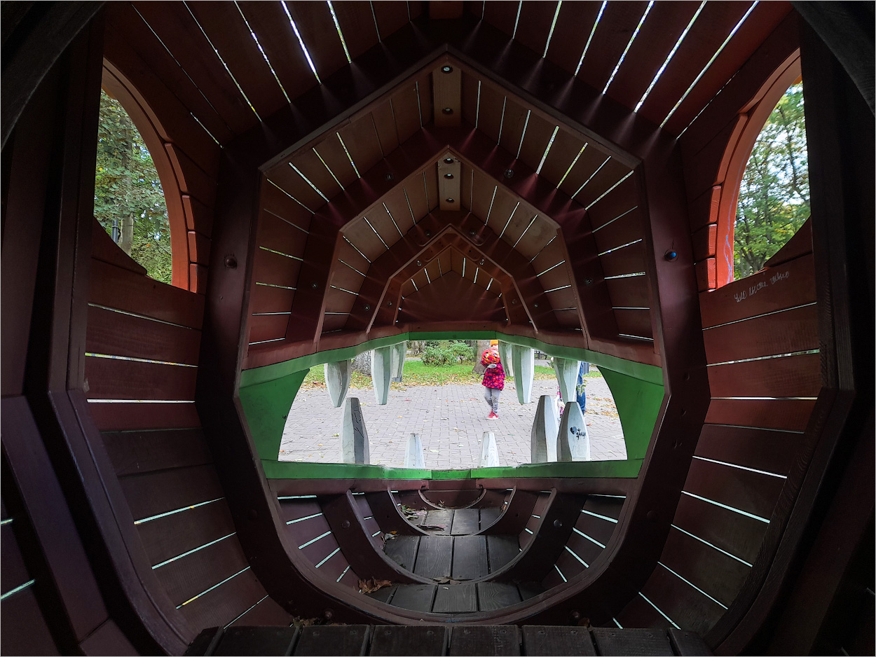 стать драконом