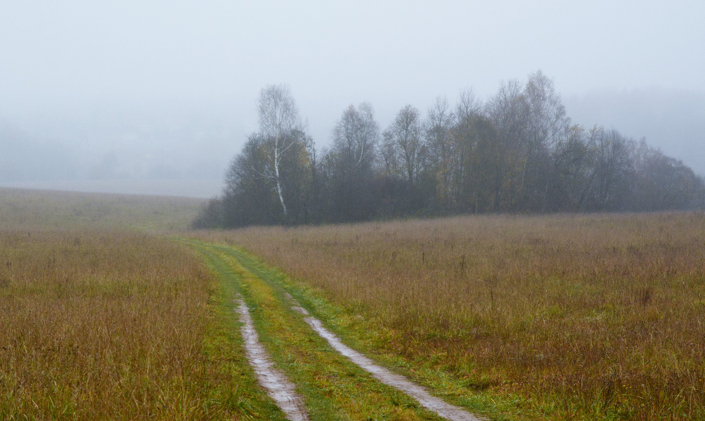 "Этот день из тумана и насморка сшит ..."