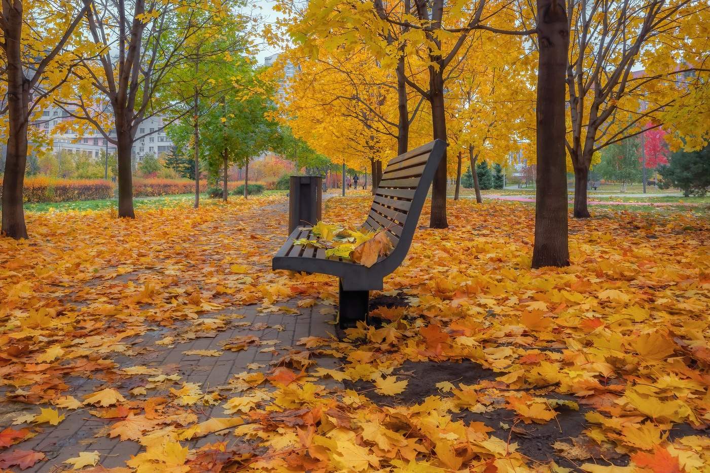 Листьев последнее тепло