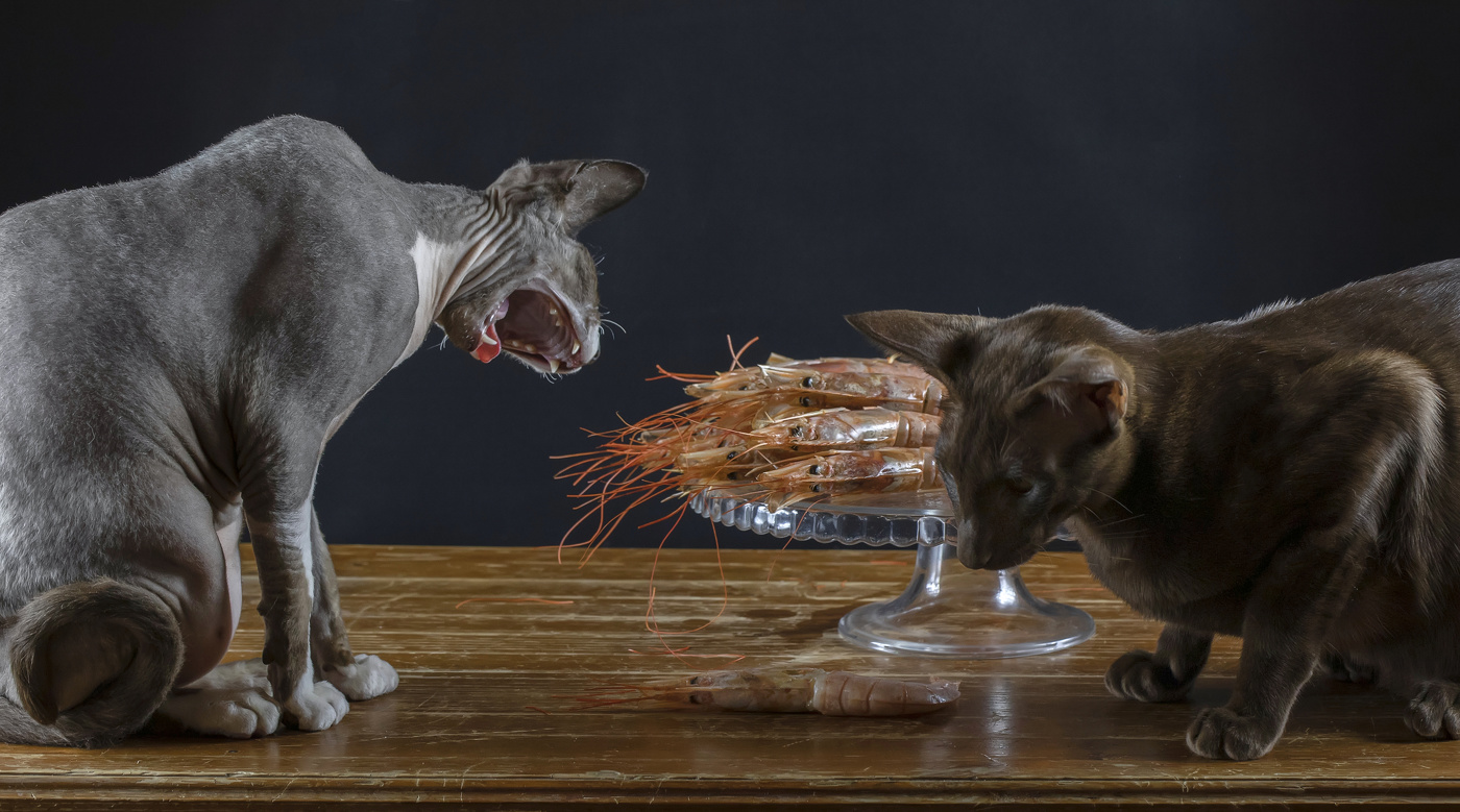 Креветочек?