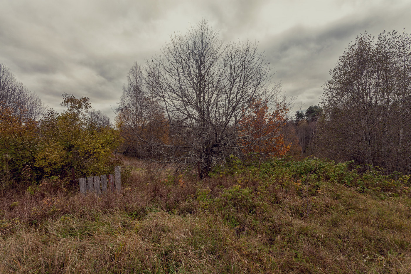 Жизнь вокруг