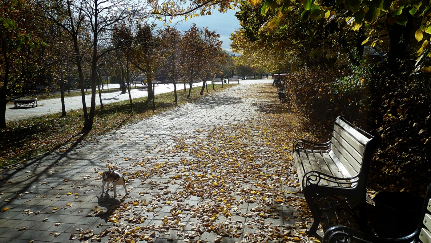 против октябрьского солнца