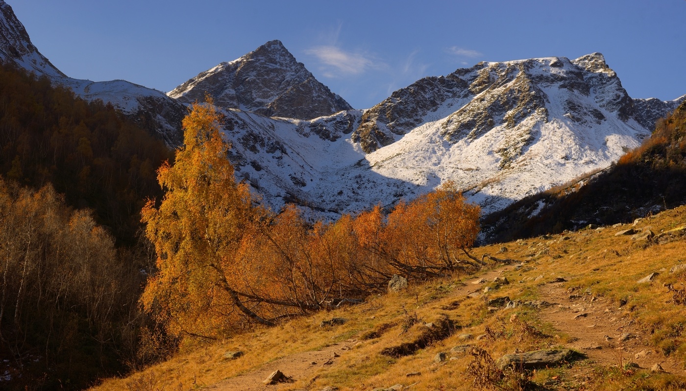 Осеннее утро