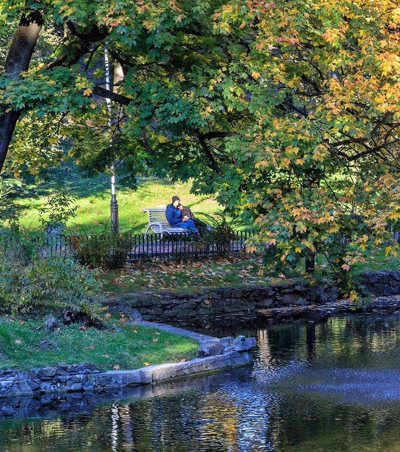 Осенний этюд