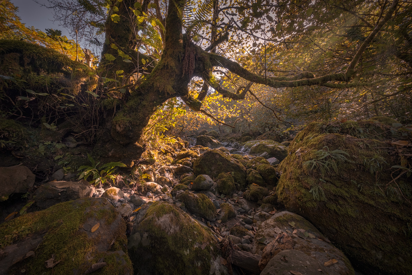 Autumn In Chakvistskali River Valley