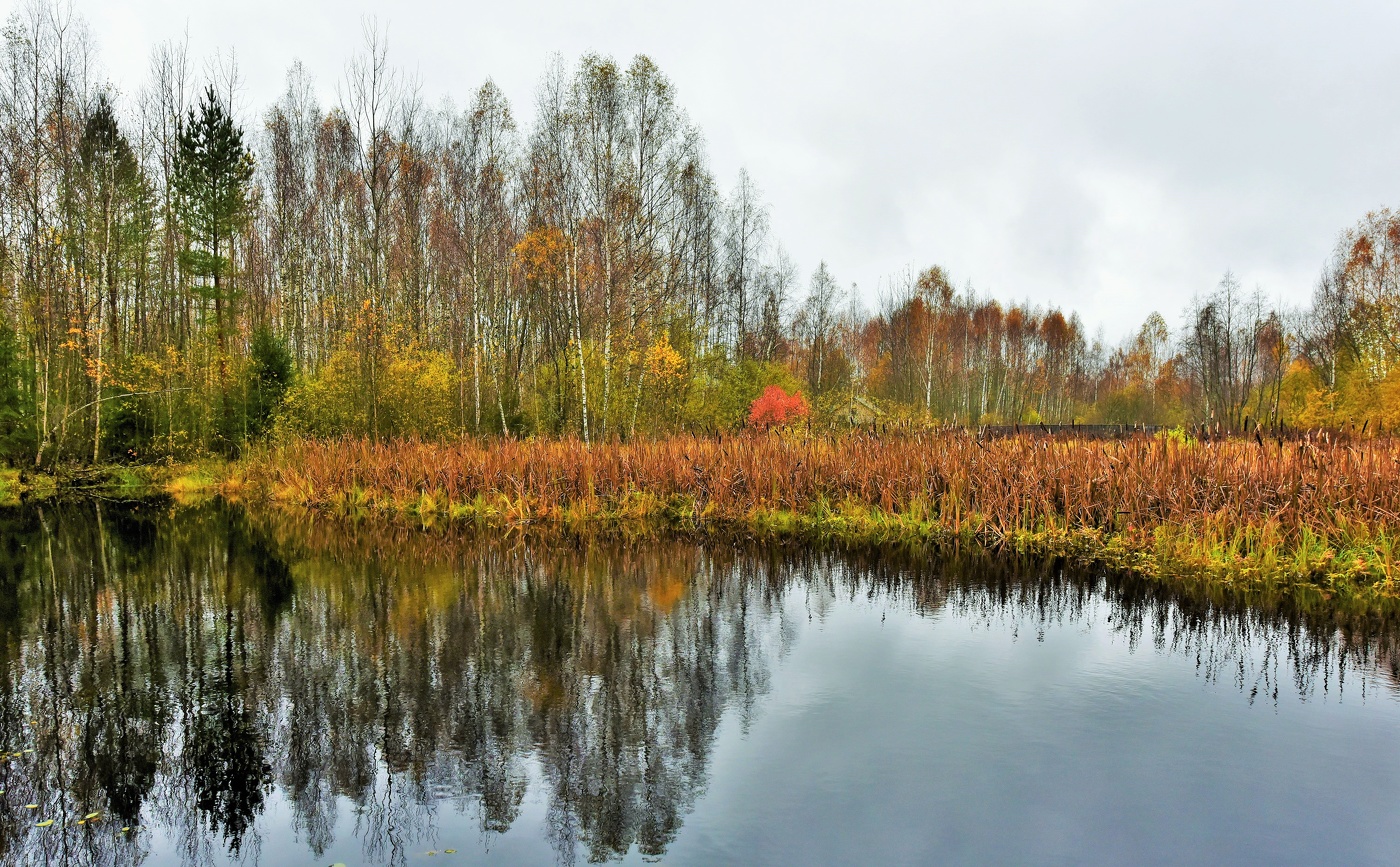 "А осень шла победно и легко ..."