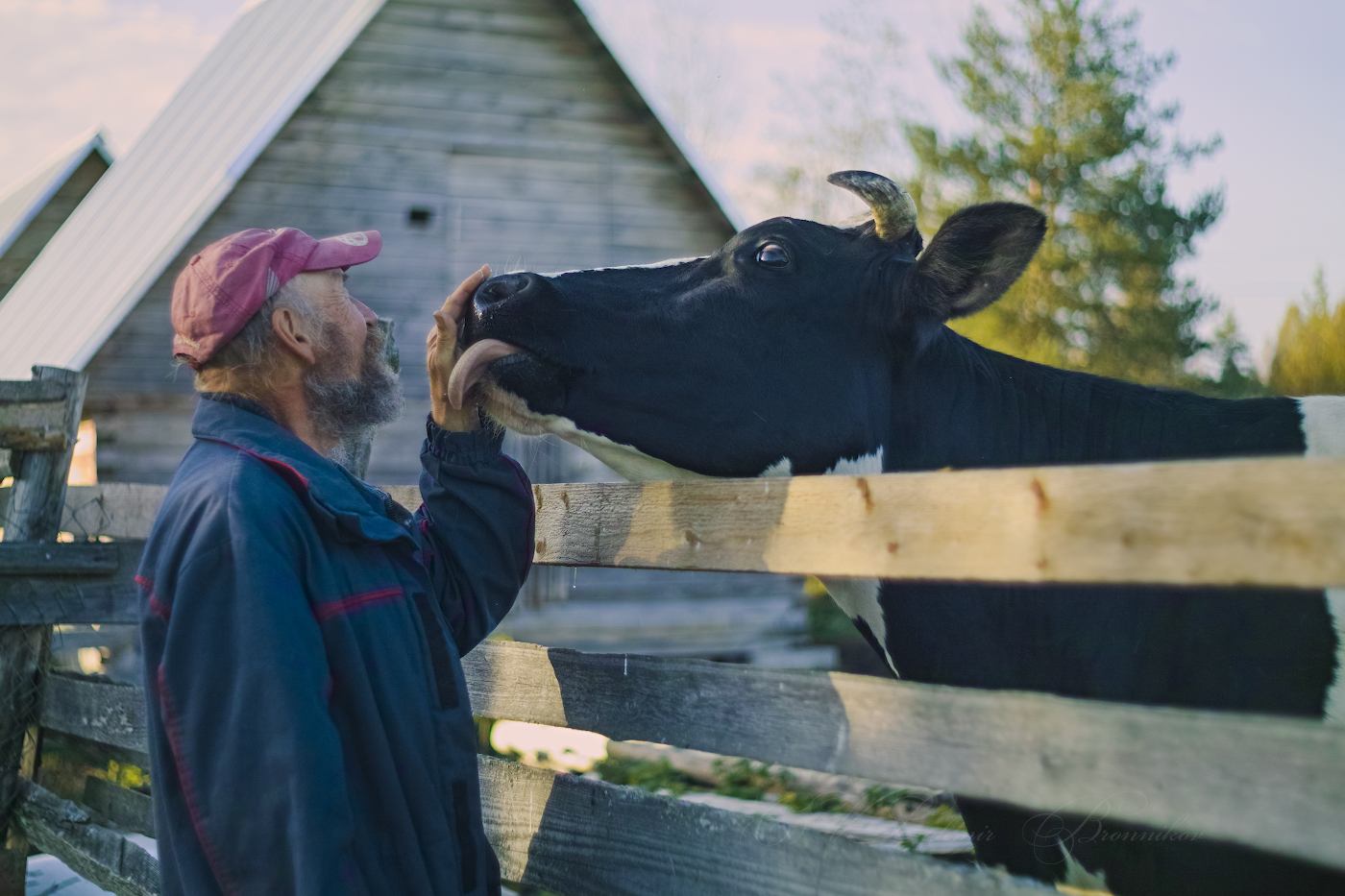 Приветствие