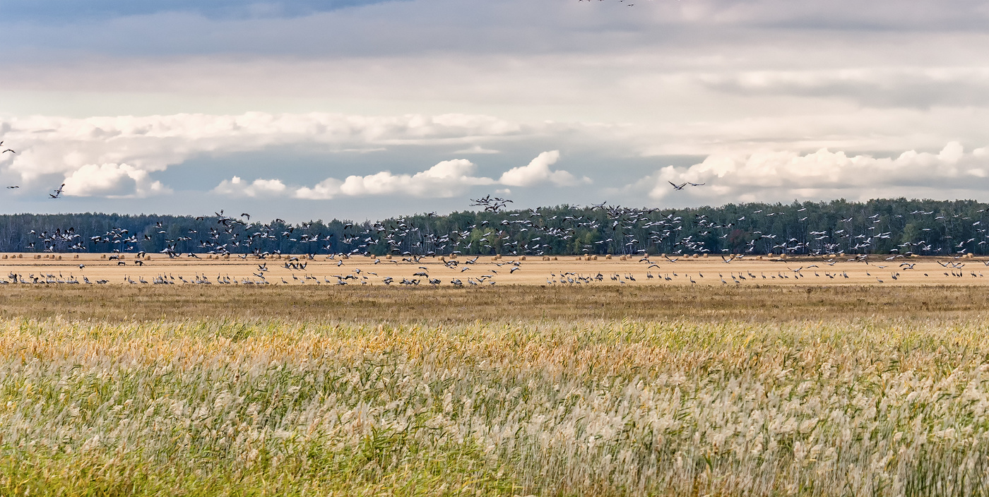 осенние сборы..