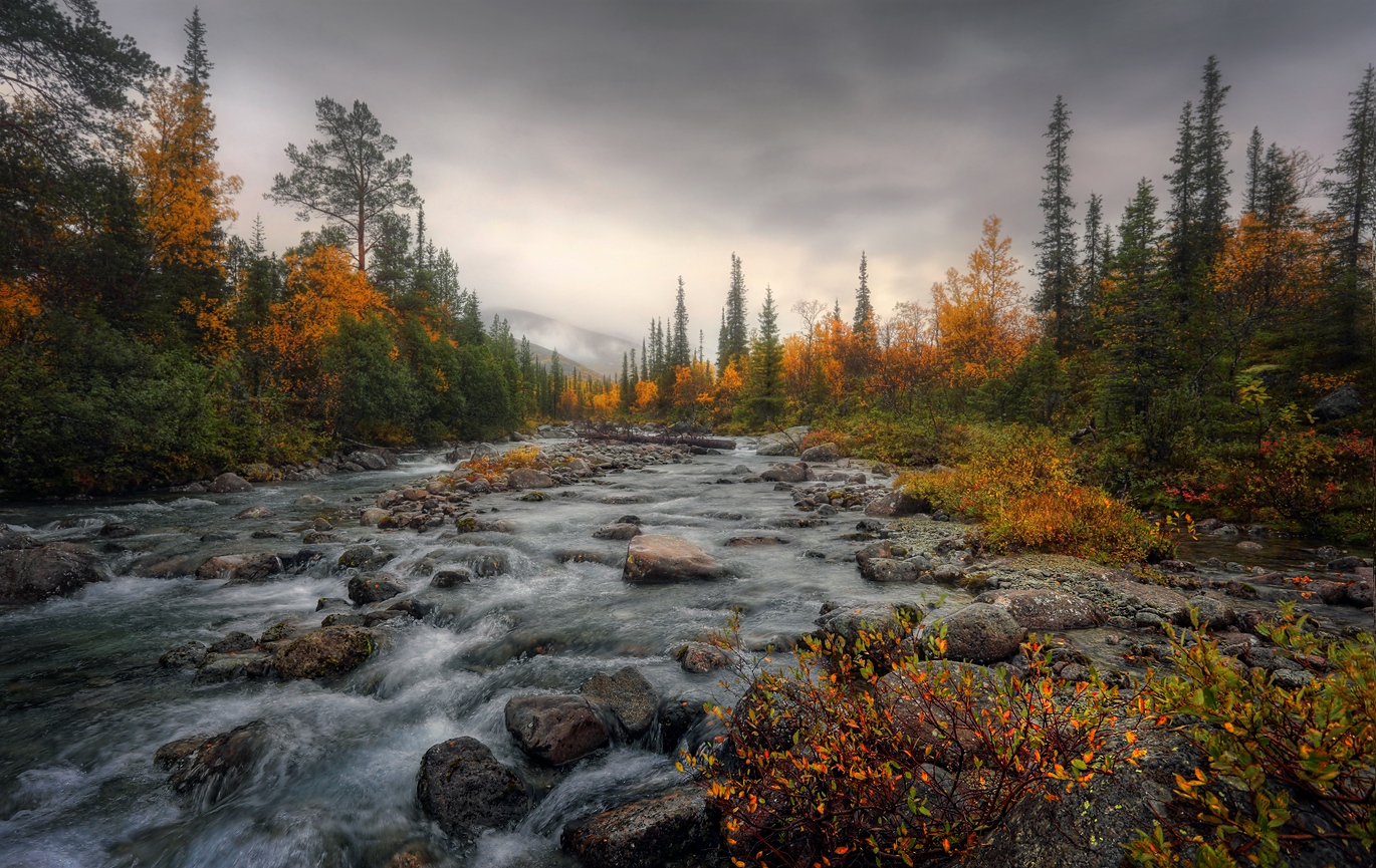 Холодные воды северной реки..