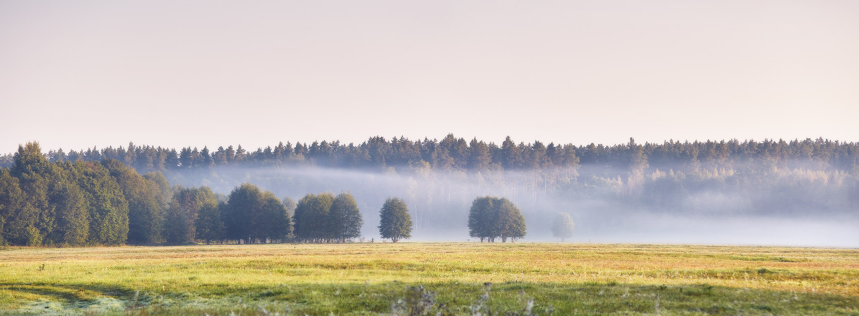 Уходящий туман