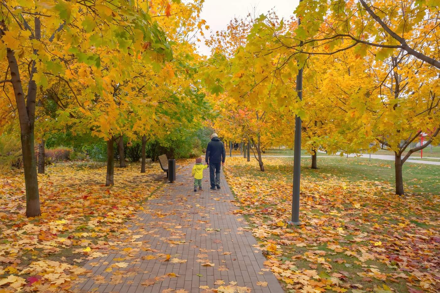 Осенние зарисовки
