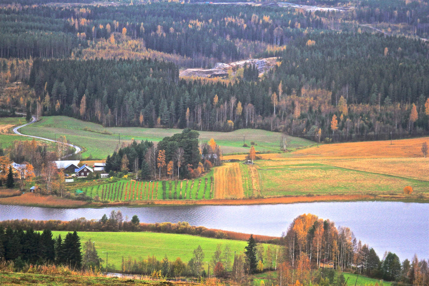 Лирический сельский пейзаж