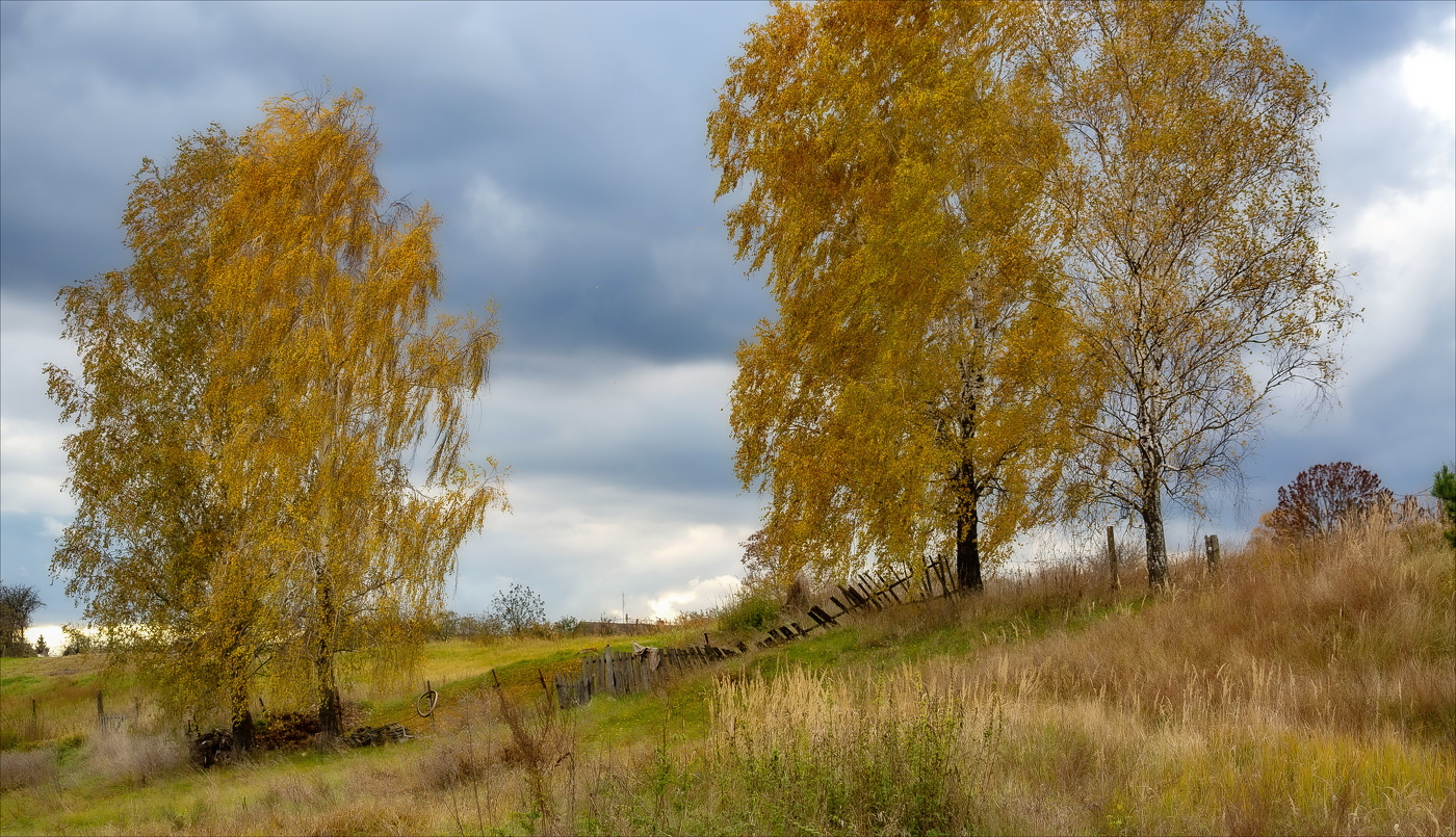 ШУМЯТ БЕРЕЗЫ ЗА СЕЛОМ