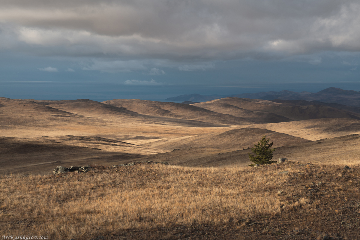 "Прибайкальская степь"