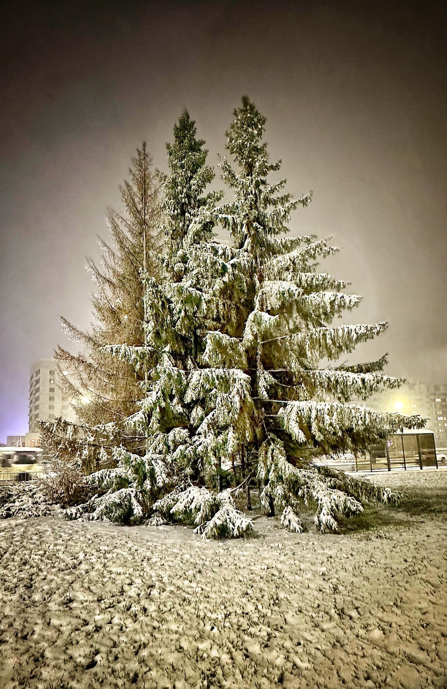 Привет зима!