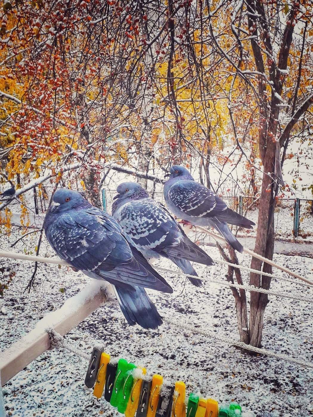 Сидим отдыхаем