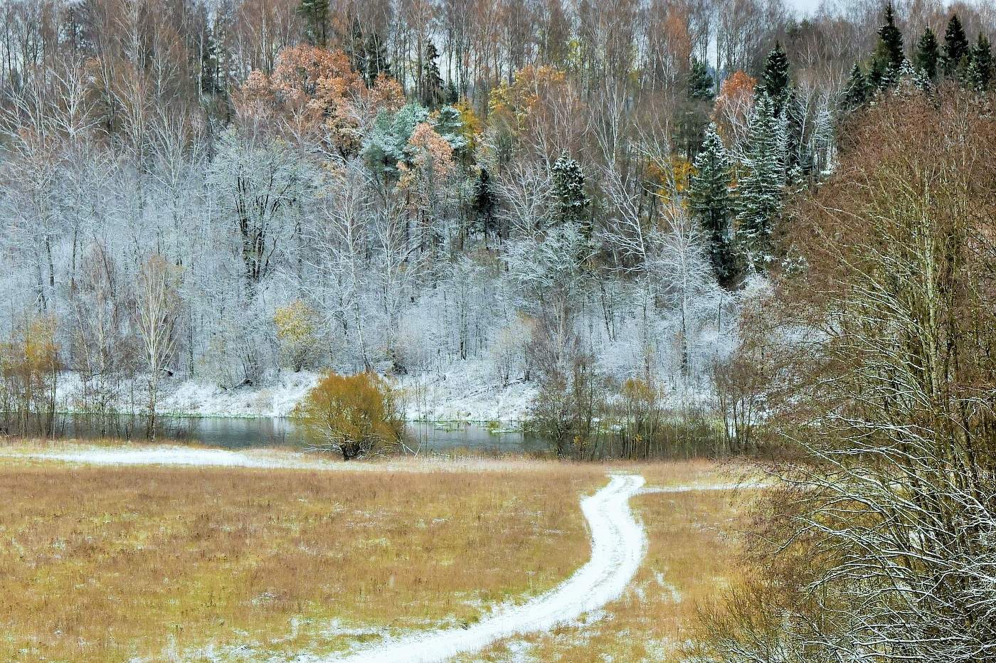 Первый снег - дорога в зиму ...
