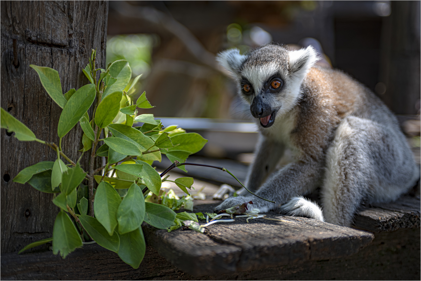 Хорошее настроение