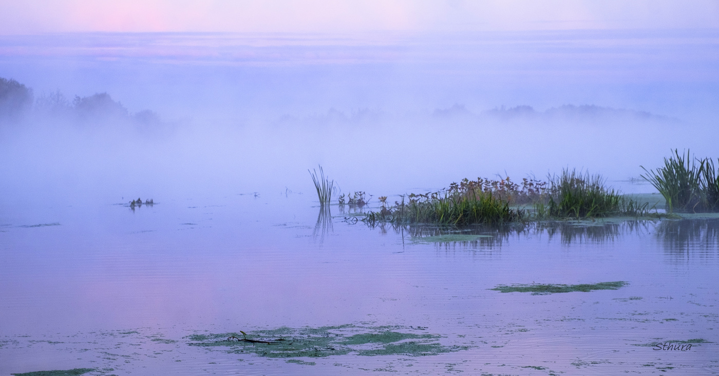 Туман на Оке.