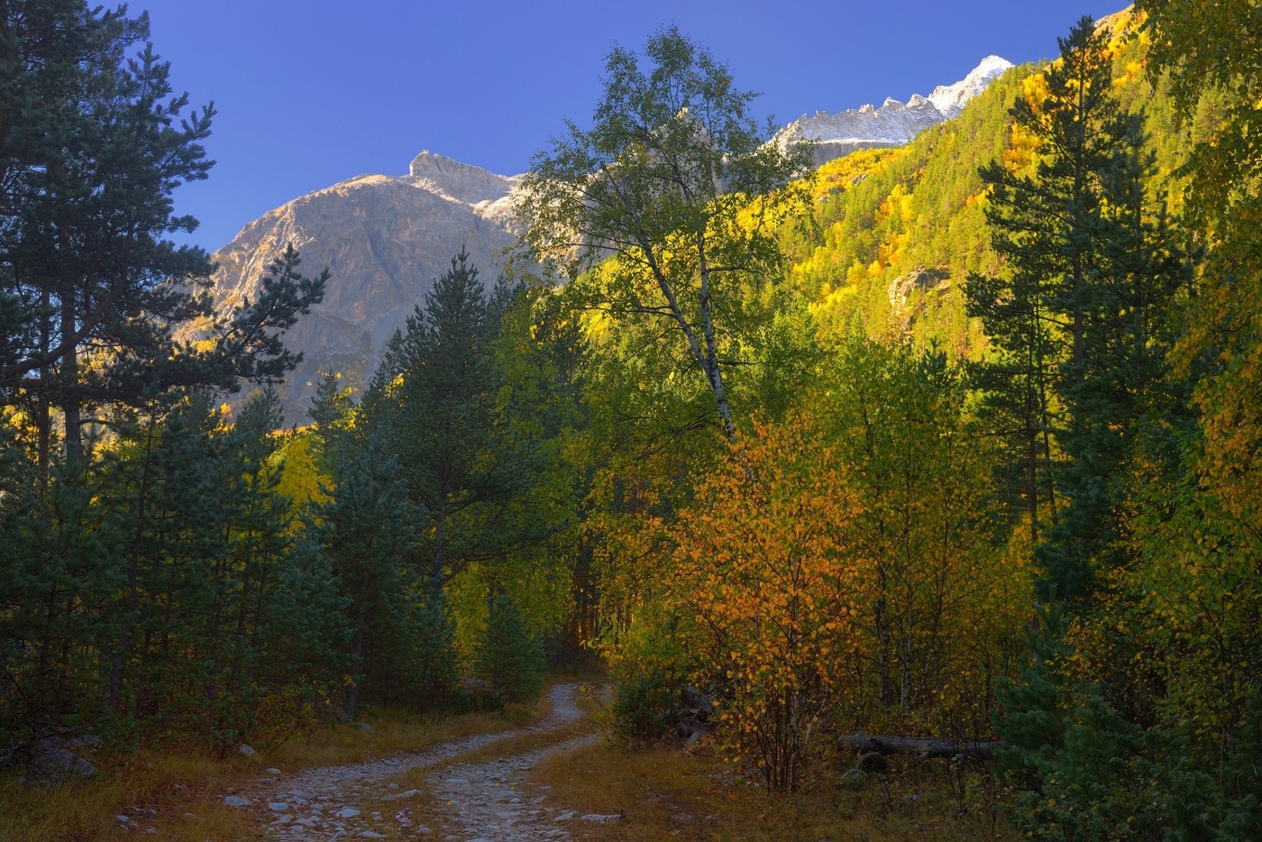 Утро в горах