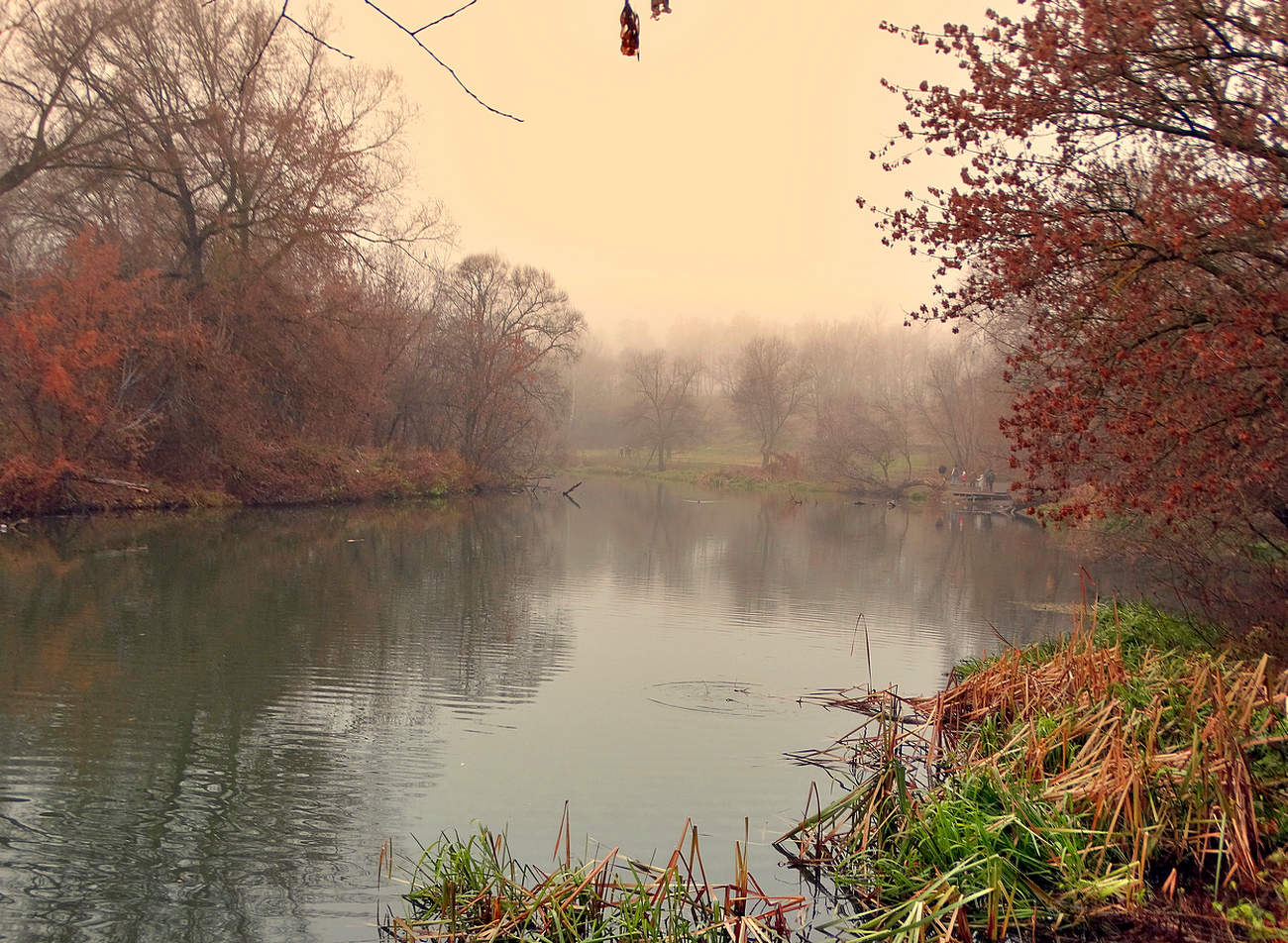 Туманный осенний день