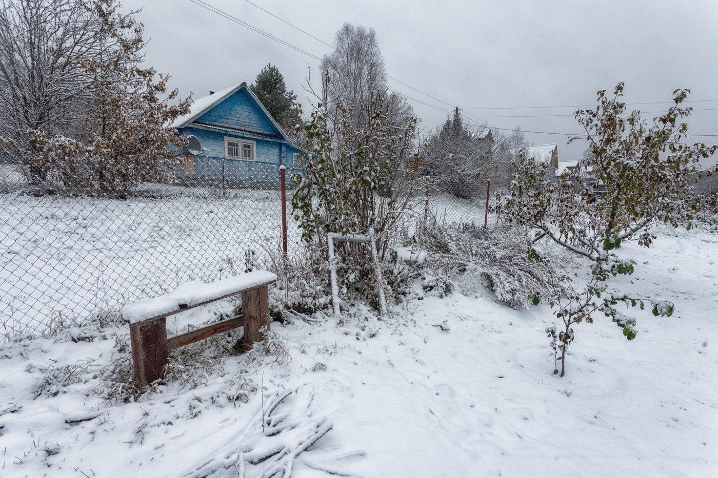 Жизнь вокруг