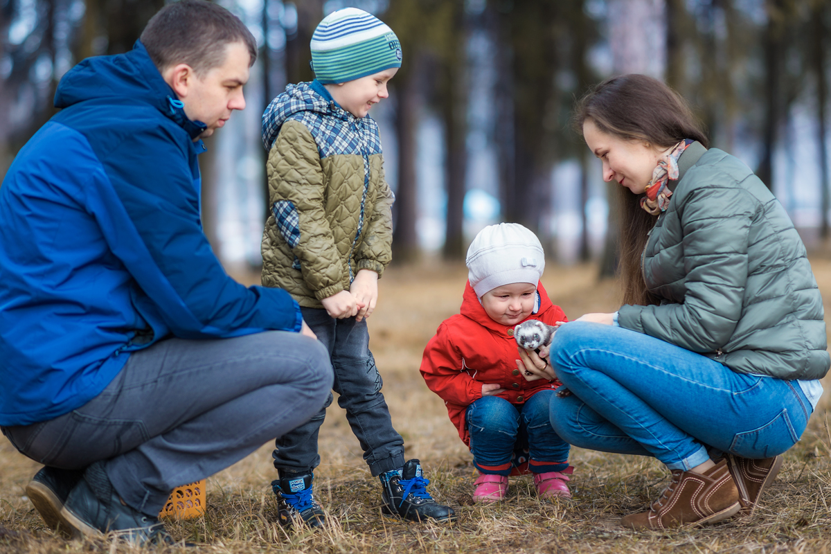 Спонтанный портрет Хорька Мани