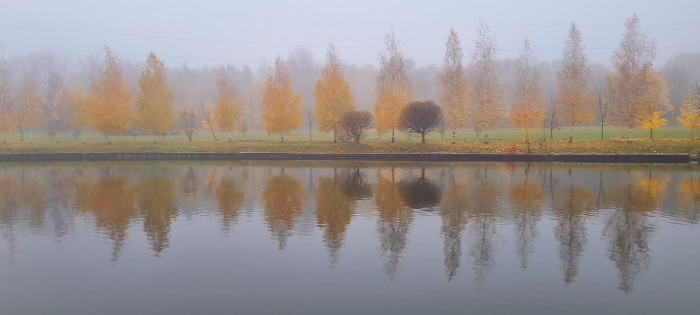 Осенние ритмы...