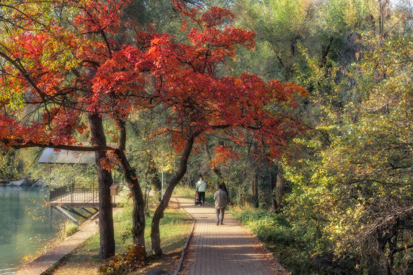Краски осени...