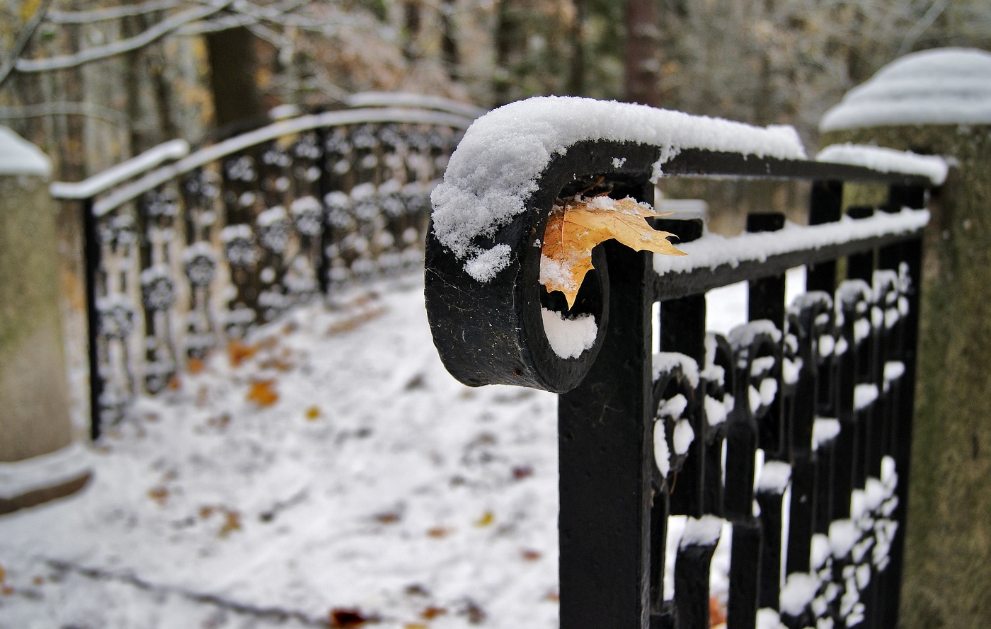 Зима в гости...
