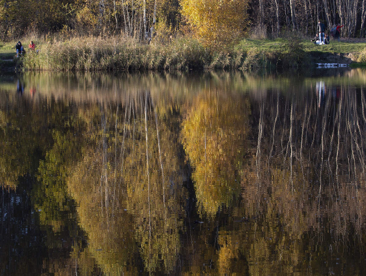 Цветная палитра