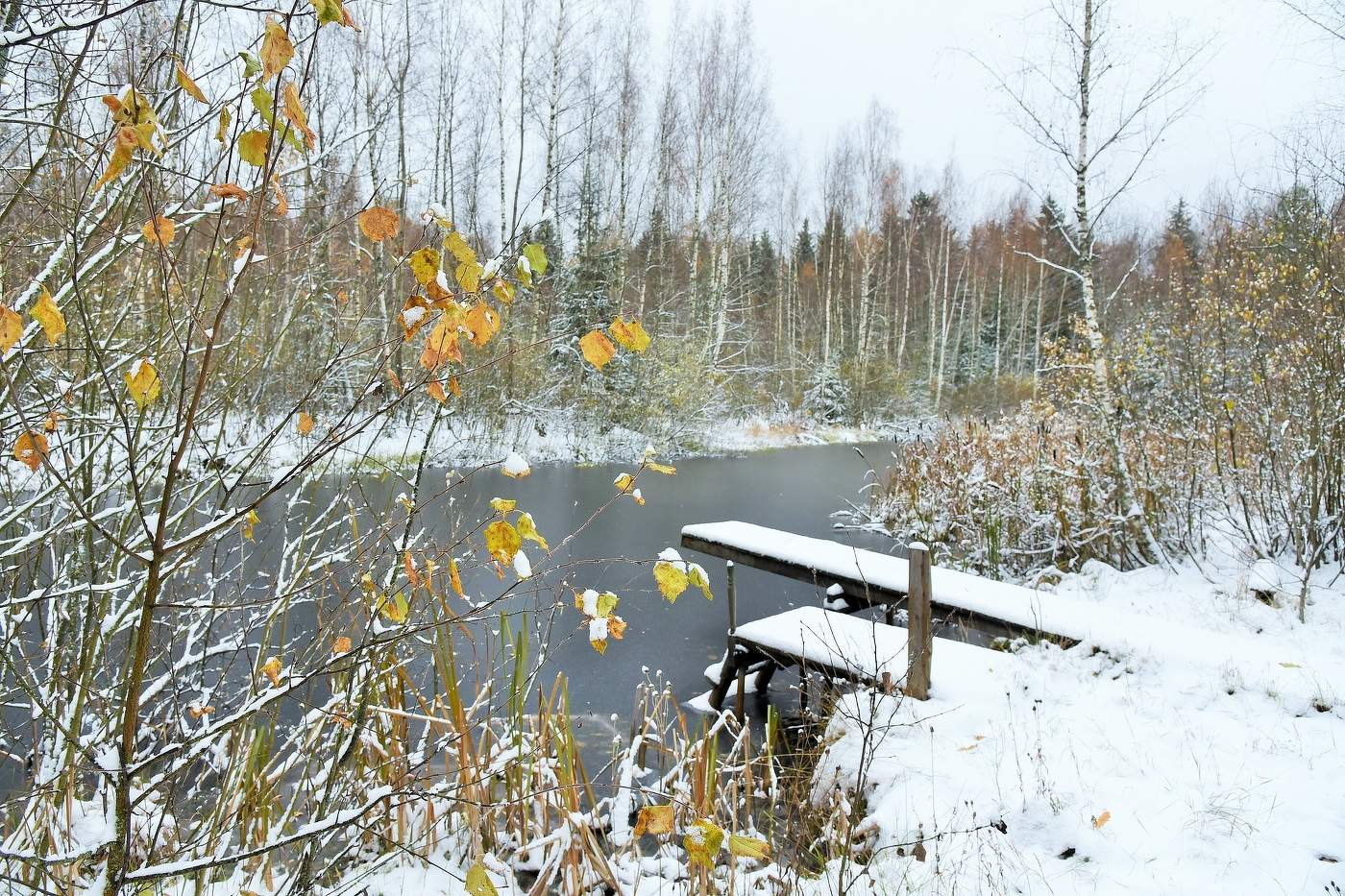 "Ах, кто не любит первый снег ..."